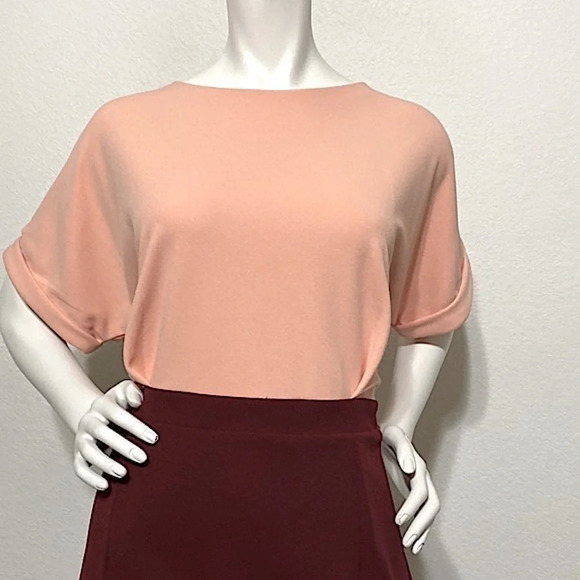 Alexia Ardmor NEW Color Block Pink/Burgundy Midi Sheath Dress Size XL - Picture 5 of 12